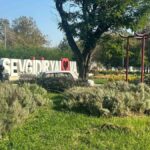 yalovada-japon-baris-caninin-hurdaciya-26-bin-tlye-satildigi-iddia-edildi-6Oxx495w